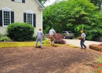 sod installation near me