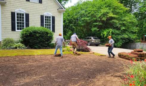 sod installation near me