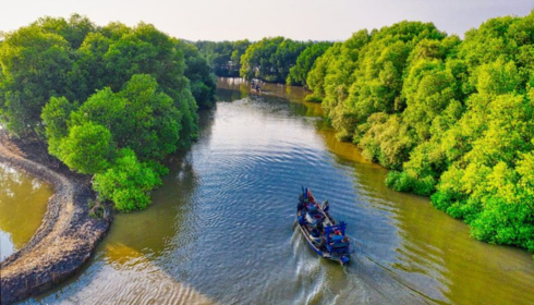 sundarban tour operator